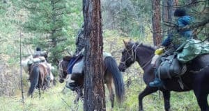 В Туве задержаны браконьеры, которые охотились в Алтайском заповеднике В Туве задержаны браконьеры, которые охотлись в Алтайском заповеднике