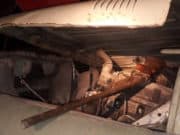 Житель Усть-Коксинского района незаконно застрелил косулю Житель Усть-Коксинского района незаконно застрелил косулю