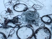 Житель Джазатора установил в Сайлюгемском нацпарке петли на кабаргу Житель Джазатора установил в Сайлюгемском нацпарке петли на кабаргу