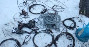 Житель Джазатора установил в Сайлюгемском нацпарке петли на кабаргу Житель Джазатора установил в Сайлюгемском нацпарке петли на кабаргу