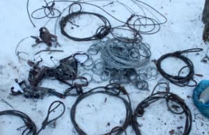 Житель Джазатора установил в Сайлюгемском нацпарке петли на кабаргу Житель Джазатора установил в Сайлюгемском нацпарке петли на кабаргу