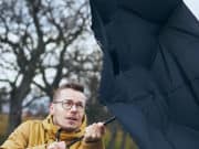 Штормовое предупреждение: ожидается сильный ветер Штормовое предупреждение: ожидается сильный ветер