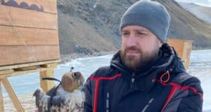 Соколиную семью, изъятую у браконьеров, выпустят на волю в Горном Алтае Соколиную семью, изъятую у браконьеров, выпустят на волю в Горном Алтае