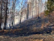 За одни сутки в республике произошло десять пожаров, в том числе семь лесных За одни сутки в республике произошло десять пожаров, в том числе семь лесных
