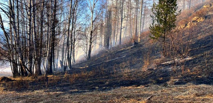За одни сутки в республике произошло десять пожаров, в том числе семь лесных