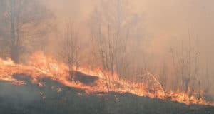 Крупный пожар тушат около Горно-Алтайска и Маймы