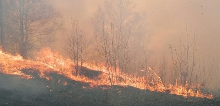 Крупный пожар тушат около Горно-Алтайска и Маймы