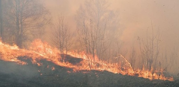Крупный пожар тушат около Горно-Алтайска и Маймы