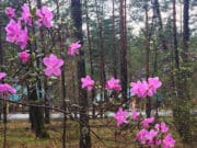 После жаркого понедельника ожидается дождь и похолодание После жаркого понедельника ожидается дождь и похолодание