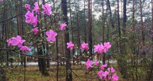 После жаркого понедельника ожидается дождь и похолодание