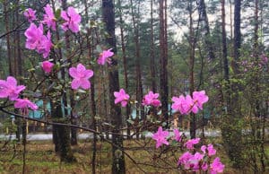 После жаркого понедельника ожидается дождь и похолодание