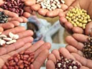 «Единая Россия» запускает акцию по сбору и доставке семян и саженцев на Донбасс «Единая Россия» запускает акцию по сбору и доставке семян и саженцев на Донбасс