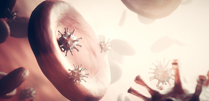 Сводка по коронавирусу: 74 человека заболели, четверо скончались