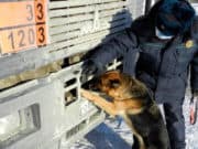 Как избежать проблем на границе. Правила режима в пункте пропуска «Ташанта» Как избежать проблем на границе. Правила режима в пункте пропуска «Ташанта»