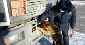 Как избежать проблем на границе. Правила режима в пункте пропуска «Ташанта»