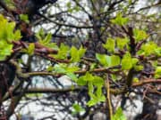 Прогноз погоды: воскресенье будет холодным, а затем начнет теплеть Прогноз погоды: воскресенье будет холодным, а затем начнет теплеть