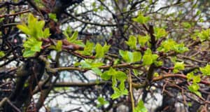Прогноз погоды: воскресенье будет холодным, а затем начнет теплеть