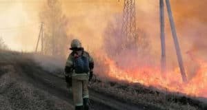 Восемь лесных пожаров произошло в Республике Алтай
