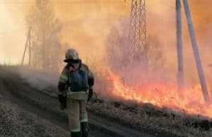 Восемь лесных пожаров произошло в Республике Алтай Восемь лесных пожаров произошло в Республике Алтай