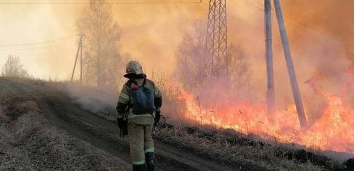 Восемь лесных пожаров произошло в Республике Алтай