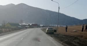На Чуйском тракте иномарка врезалась в овец, выбежавших на дорогу На Чуйском тракте иномарка врезалась в овец, выбежавших на дорогу