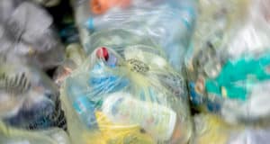 Роспотребнадзор рассказал о ситуации с мусором в Республике Алтай