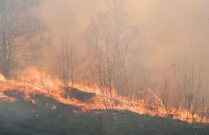 Пожар в Страшном логу ликвидирован, в его тушении участвовали более 70 человек