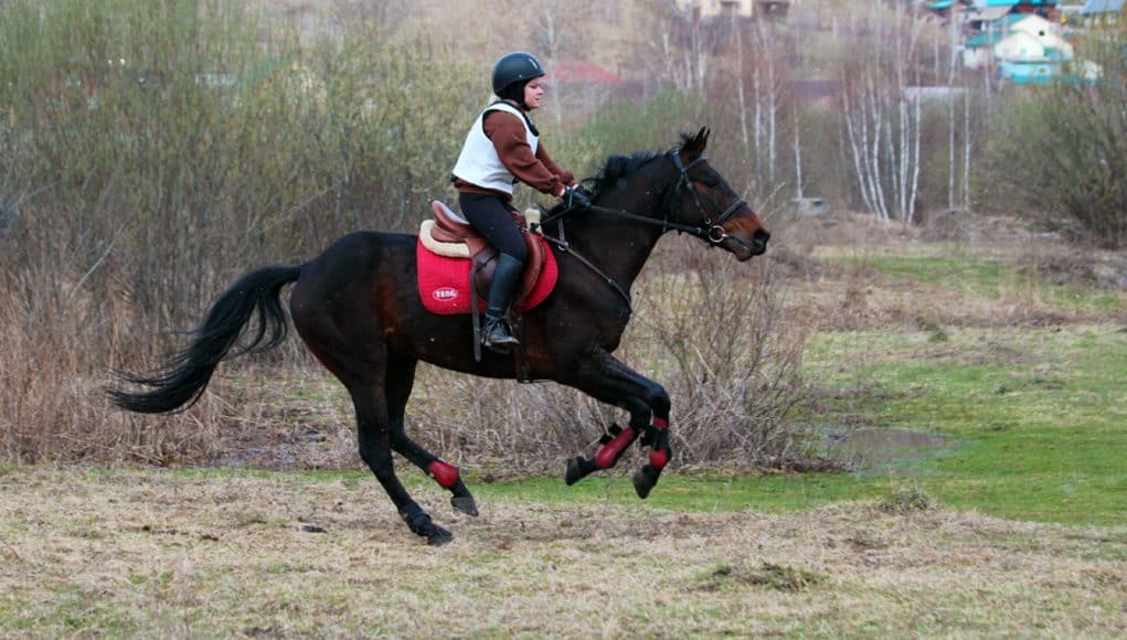 Анастасия Лазарева на лошади по кличке Геральд