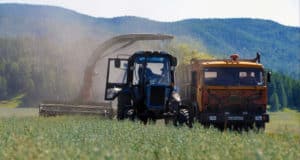 Сельское хозяйство Горного Алтая: итоги прошлого года и перспективы на 2022-й