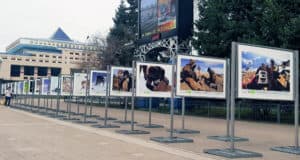 На центральной площади города открылась фотовыставка Сайлюгемского нацпарка На центральной площади города открылась фотовыставка Сайлюгемского нацпарка