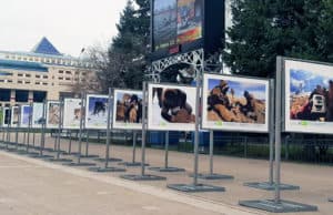 На центральной площади города открылась фотовыставка Сайлюгемского нацпарка