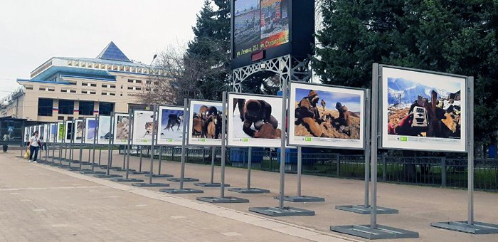 На центральной площади города открылась фотовыставка Сайлюгемского нацпарка