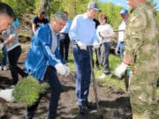 В Майминском районе высадили свыше 3 тысяч кедров В Майминском районе высадили свыше 3 тысяч кедров