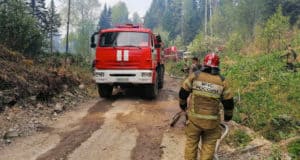 Все лесные пожары в Республике Алтай ликвидированы