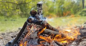 На Алтае ожидается высокая пожароопасность
