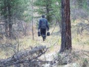 Фотоловушки в Алтайском заповеднике запечатлели браконьеров, убивших марала Фотоловушки в Алтайском заповеднике запечатлели браконьеров, убивших марала