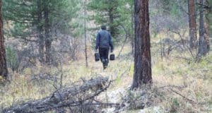 Фотоловушки в Алтайском заповеднике запечатлели браконьеров, убивших марала