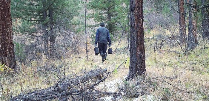 Фотоловушки в Алтайском заповеднике запечатлели браконьеров, убивших марала