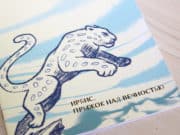 В Республике Алтай отметили День снежного барса В Республике Алтай отметили День снежного барса