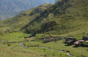 Упразднять село пока не будут Упразднять село пока не будут