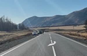 На Чуйском тракте перевернулась Toyota Camry, травмирован пассажир На Чуйском тракте перевернулась Toyota Camry, травмирован пассажир