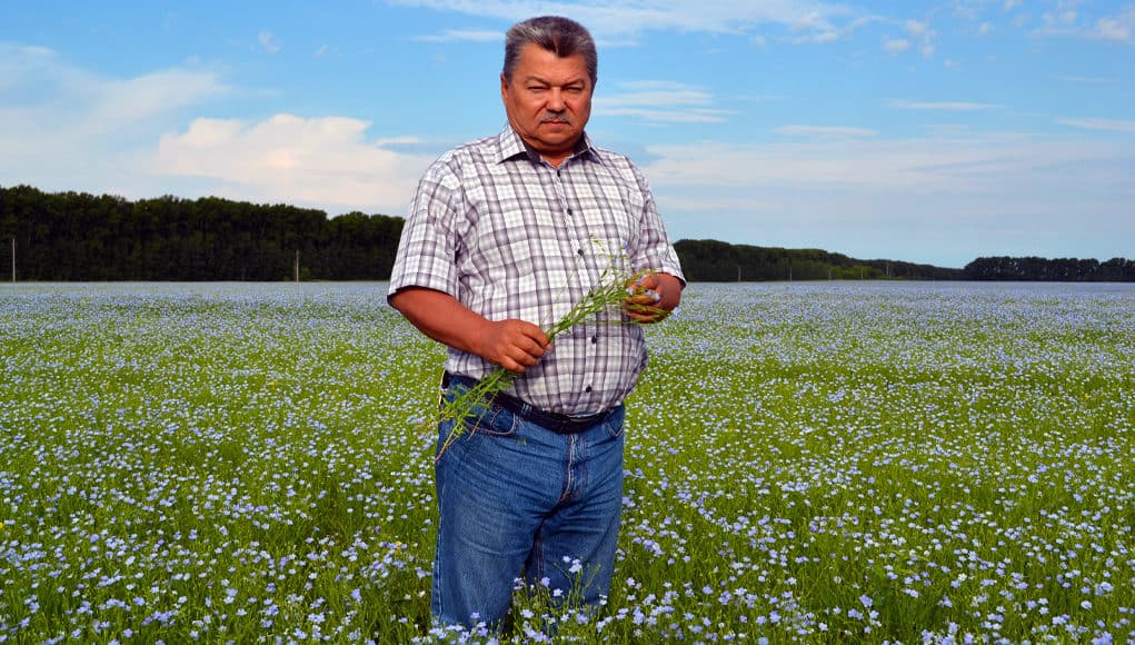 На 63% увеличено кредитование сезонных работ алтайских фермеров