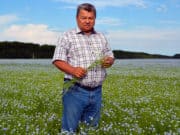 На 63% увеличено кредитование сезонных работ алтайских фермеров На 63% увеличено кредитование сезонных работ алтайских фермеров