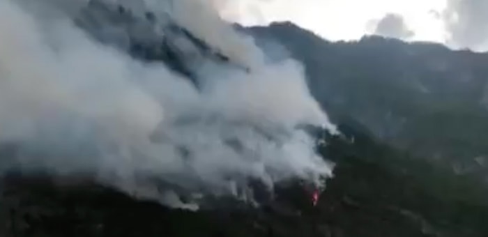 Возобновился лесной пожар в Чулышманской долине