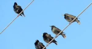 Смертельно опасные турбазы обнаружены на берегу Катуни