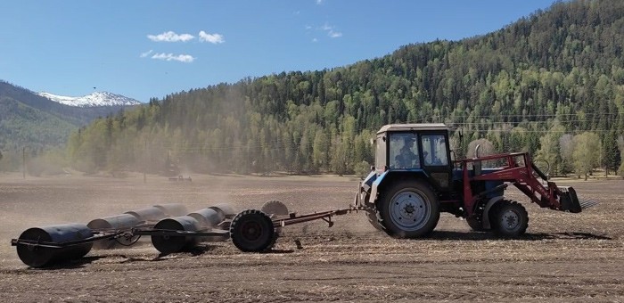 Весенние полевые работы полностью завершены в Республике Алтай