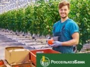 Россельхозбанк на Алтае предлагает сэкономить на открытии счета для бизнеса