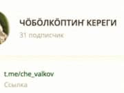 В Telegram начал работу канал на алтайском языке