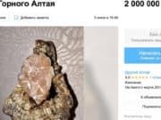 «Посох силы из Горного Алтая» продают на «Авито» за два миллиона рублей «Посох силы из Горного Алтая» продают на «Авито» за два миллиона рублей