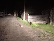 16-летняя горожанка на мотоцикле врезалась в забор и попала в больницу 16-летняя горожанка на мотоцикле врезалась в забор и попала в больницу